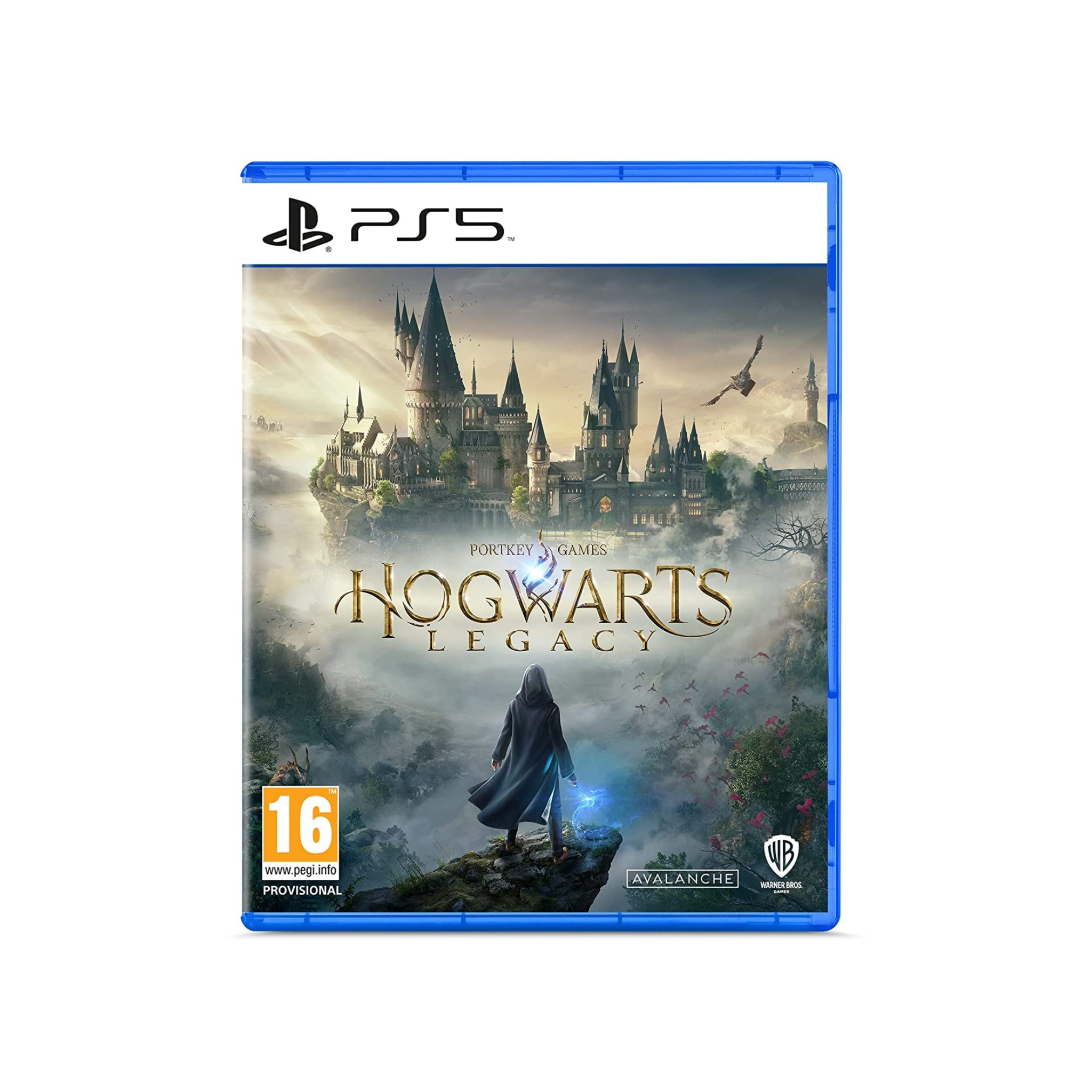 Hogwarts Legacy PS5
